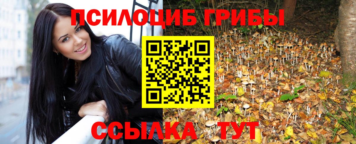 Псилоцибиновые грибы прущие грибы  Вход с VPN  Электрогорск 