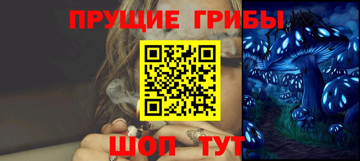 Галлюциногенные грибы прущие грибы Электрогорск